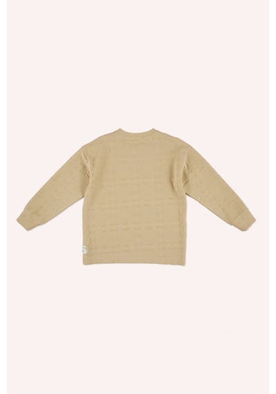 Erkek Çocuk Bej Sweatshirt Çok Renkli