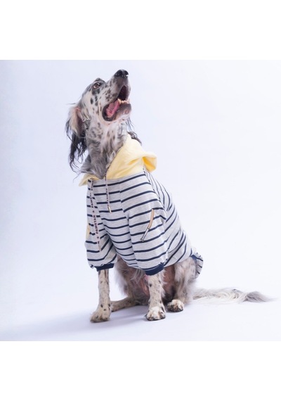 Sarı Seattle Pitch Orta-büyük Irk İçin Hoodie Köpek Sweatshirt Köpek Sweat Köpek Kıyafeti