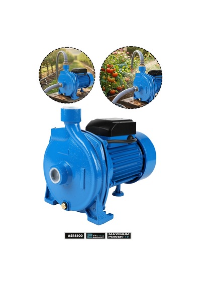 Assur Cpm158 29m Basınç Yüksekliği 1 Hp Bakır Sargı Elektrikli Santrifüj Pompa Su Motoru-3154
