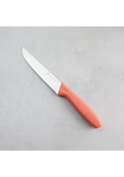 Aryıldız Primo Mutfak Bıçağı Somon 14,5 Cm Renkli