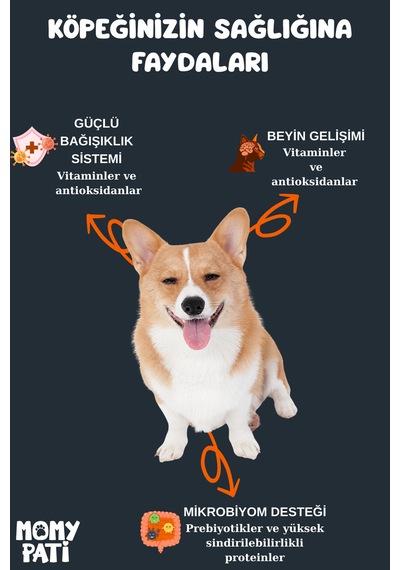 Kuzu Etli Köpek Maması 15 Kg Yetişkin Köpekler Için