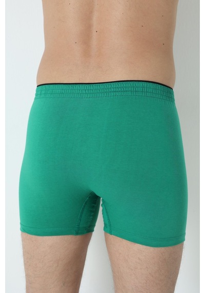 Arma Yıldız 6'lı Paket Yeşil Erkek Penye Havlu Bel Boxer %100 Pamuk-yeşil Yeşil