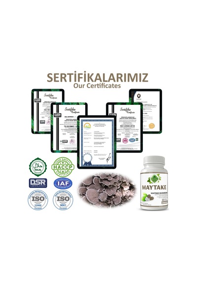 Gökçek Şifa Maytake (Maitake Mushroom Capsule) 60 Kapsül