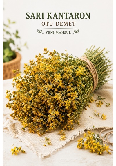 Yörem Afyon Anadolu Nun Altın İksiri Hakiki Sarı Kantaron Otu, St. John S Wort Hypericum Perforatum 1 Demet