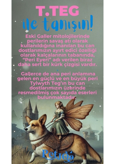 Petjoo 15.T.Teg Mavi-Pembe Qr'lı Köpek Künyesi
