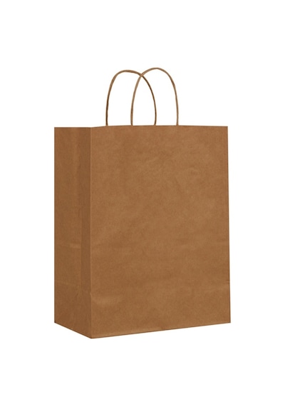 Packanya 20 x 10 x 22 - 200 Adet Burgu Saplı Kraft Çanta