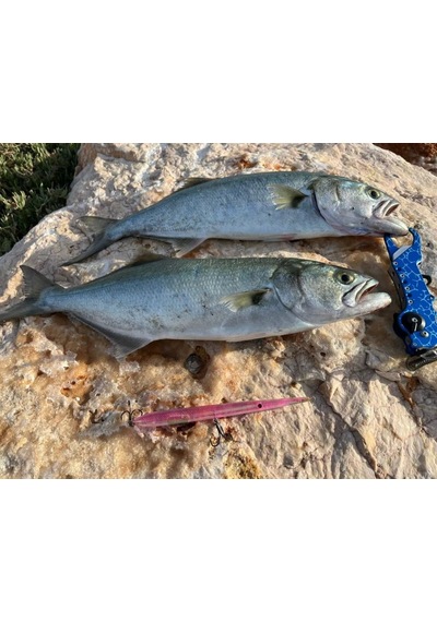 Zıpkan Zargana 17 Cm 25 Gr Maket Balık
