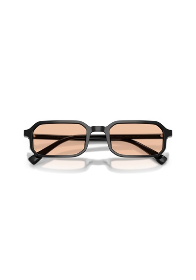Emporio Armani Ea 4253u 5017/93 Unisex Güneş Gözlüğü
