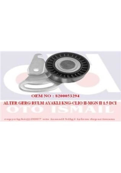 INA 531059130 V KAYIŞ GERGİ RULMANI CLIO II KANGOO MEGANE II SCEN