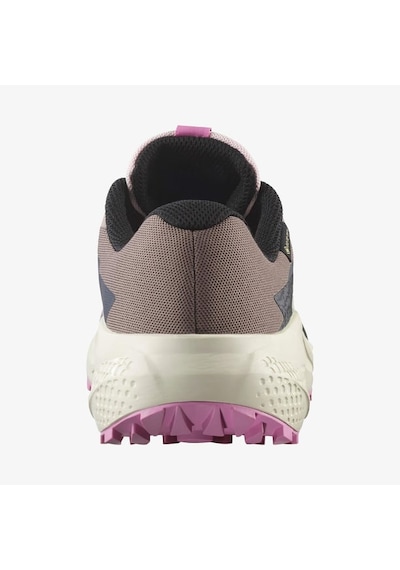 Salomon Alphaglide Gore-tex Kadın Koşu Ayakkabısı L47857900 Bej