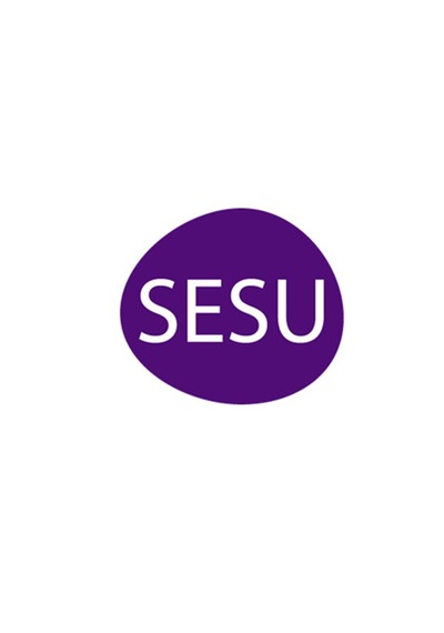 Sesu Tüy Sarartıcı Krem 35 Gr + 18 Gr X 4 Paket
