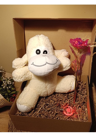 Kutulu Hediye Seti / Peluş Kuzu 24cm - Renk Değiştiren Işıklı Anahtarlık - Sonsuzluk Gülü