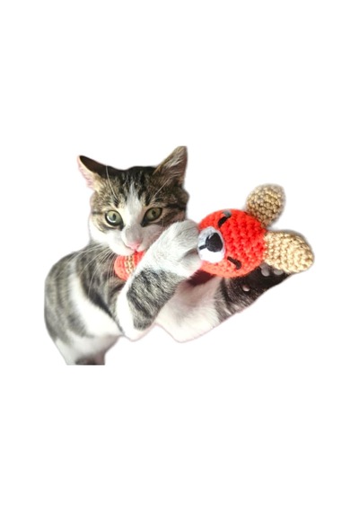 Catnipli Kedi & Köpek Diş Kaşıma Isırma Oyuncağı