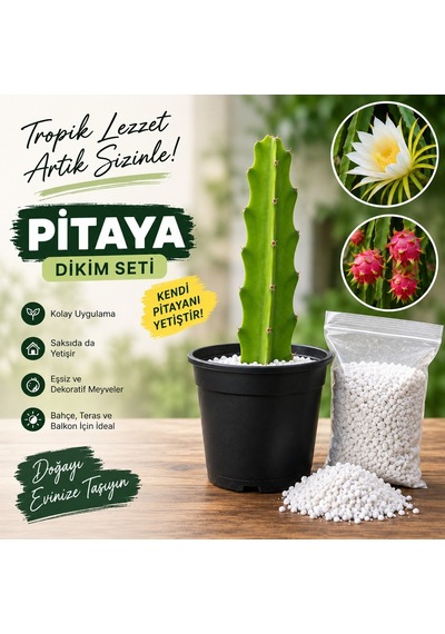 Pitaya Ejder Meyvesi Köklendirme Seti 20-30 Cm Çelik + Saksı + Perlit
