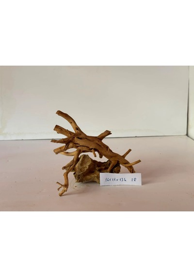 Yati Kökü Dragon Kayasına Yapışık No:28 16x11x13h