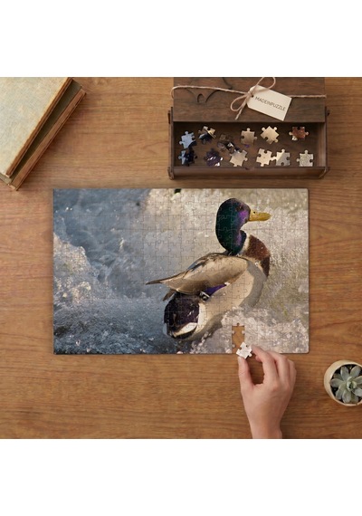 Buzların Üstünde Ordek Tasarımı 240 Parça Ahşap Puzzle Ahşap Kutuda Mpy40167