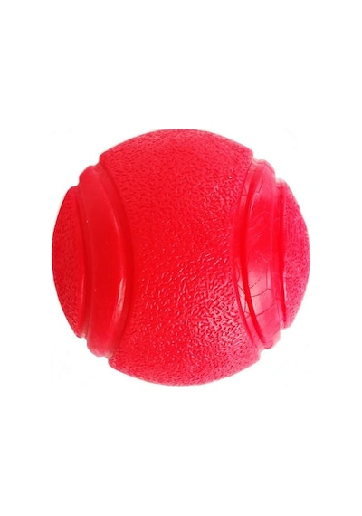 Nunbell Zıplayan Sert Top Köpek Oyuncağı 6 CM