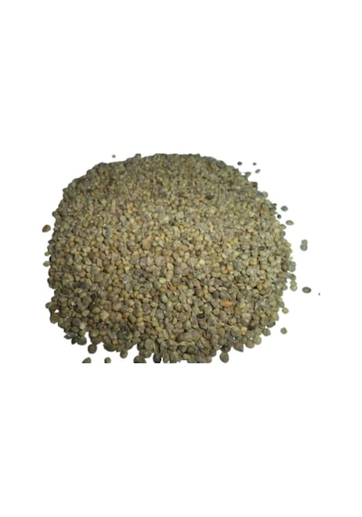 Sanita Ispanak Tohumu 1 KG