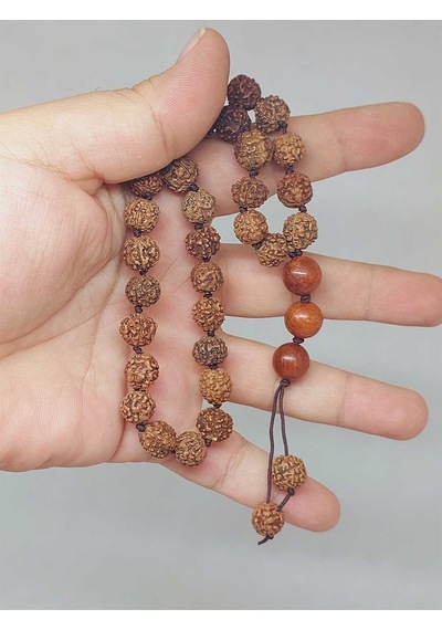 Rudraksha Tohum Düğümlü 33lük Tesbih 51622