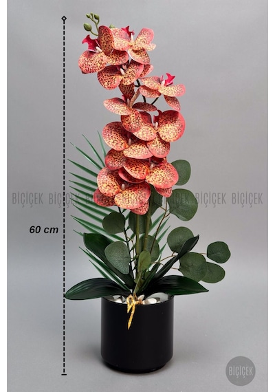 Yapay Phalaenopsi S Turuncu Benekli Orki De 60 Cm Siyah
