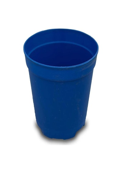 Katı Plastik Sukulent Saksısı 10 Adet Mavi 5.5 Cm