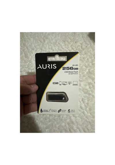 Ars-ub03 256gb Flash Bellek Gri - 787958240