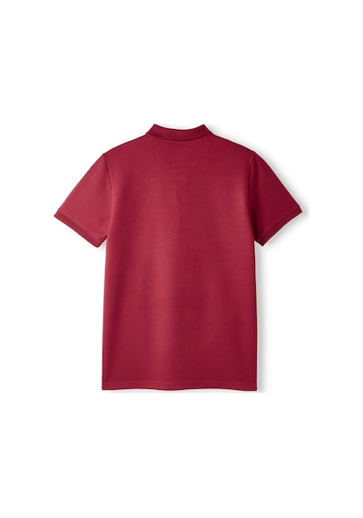 Gsstore Galatasaray Premium Basic Polo T-shirt E251133 Bordo