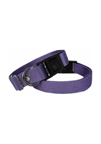 Köpek Tasması Dokuma 2 Cm - Min: 30 Cm - Max: 50 Cm Mor Çok Renkli