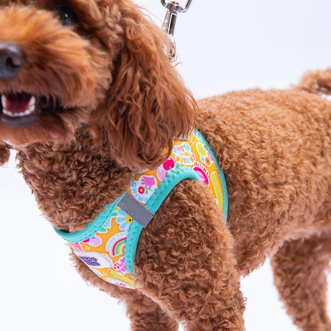 Pixsy Pals Göğüs Tasması Ve Sevk Kayışı Tasma Seti Emojili Kedi Köpek Göğüs Tasması Seti M Mint