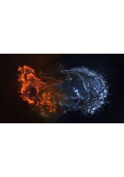 Concord Mp-306 Desenli Mouse Pad 250 X 300 X 3 Mm