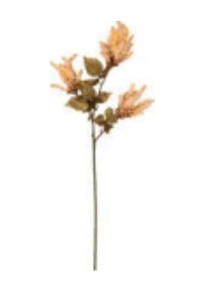 Yapay Çiçekli Bitki Pampas Kahverengi 90 Cm. Çok Renkli