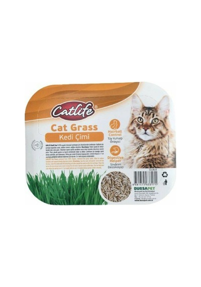 Catlife Cat Grass Kedi Çimi