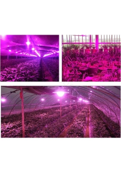 1 Watt Power Led Grow (Full Spectrum)