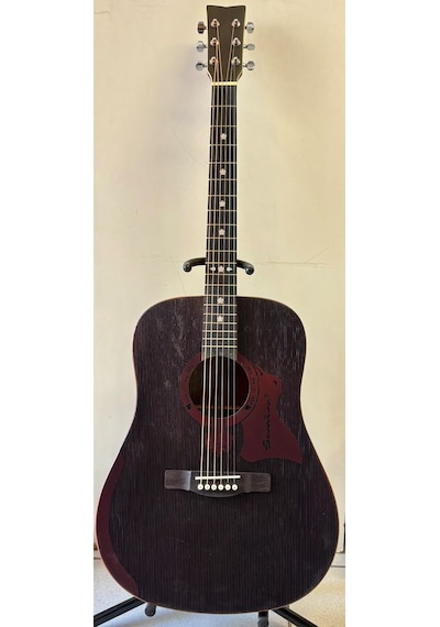 Profesyonel Akustik Gitar