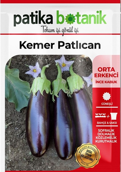 150 Adet Yerli Ata Kemer Patlıcan Tohumu