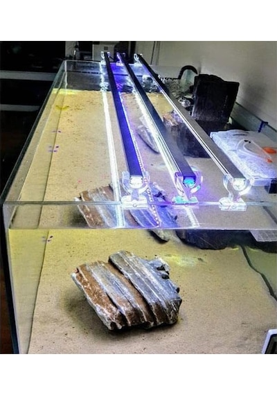 Orionled Akvaryum Led Aydınlatma Karışık Renkli Beyaz Kırmızı Mavi 70cm