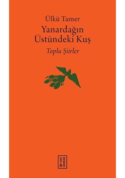Yanardağın Üstündeki Kuş - Vzqg-762688