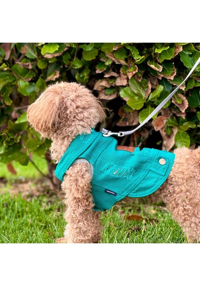 Yeni - Çam Yeşili Renk Kot Köpek Yeleği - Küçük Irklar İçin Şık V