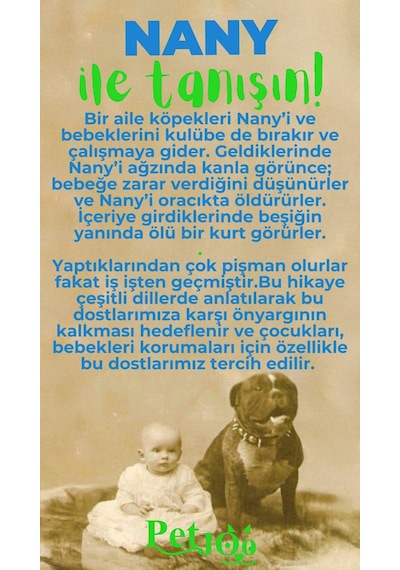 Petjoo 17.Nany Yeşil-Mavi Qr'lı Köpek Künyesi