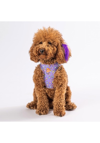 Air-mesh Ice Cream Köpek Göğüs Tasması M