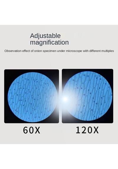60x 120x Optik Mikroskop + 4 Lamelli + Mobil Telefon Tutacağı
