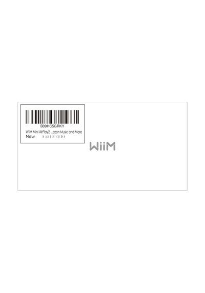Wiim Mini Streamer