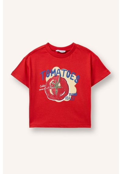 Defacto Regular Fit Bisiklet Yaka Baskılı Kısa Kollu Tişört Erkek Bebek I6234a526hsrd172 Kırmızı-rd172