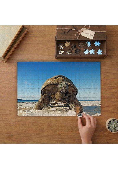 Görkemli Kapluöbağa Tasarımı 240 Parça Ahşap Puzzle Ahşap Kutuda Mpy60430