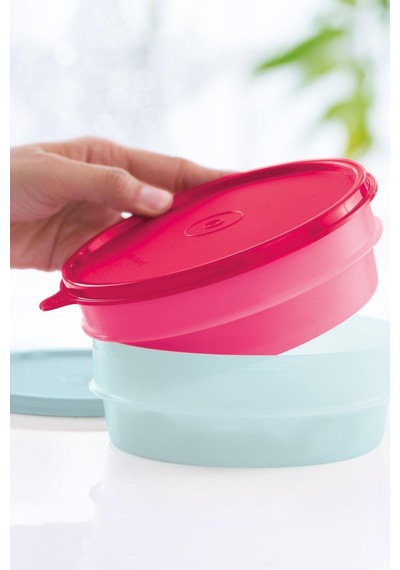 Tupperware Modüler Buzdolabı Kapları 2'Li Set 500 Ml 7691490208823 Çok Renkli