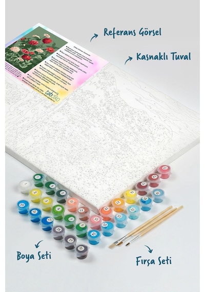 Sayılarla Boyama Seti 40 x 50 CM Tuval Şasesine Gerili Mevsim Çiçeği
