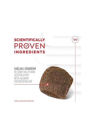 Ayrex Digestion Chews Yetişkin Köpekler İçin Sindirim Sistemini Destekleyen Tamamlayıcı Ödül Maması 160g