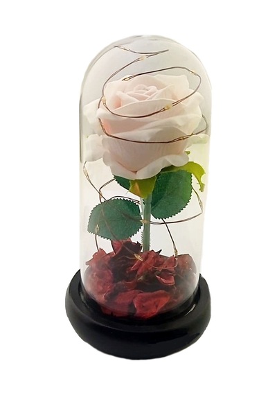 Romantik Sevgililer Temalı Işıklı Gül Fanus