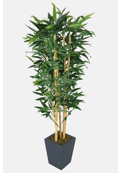 Yapay Bambu Ağacı Premium Iri Yapraklı 150 Cm 5 Çubuklu
