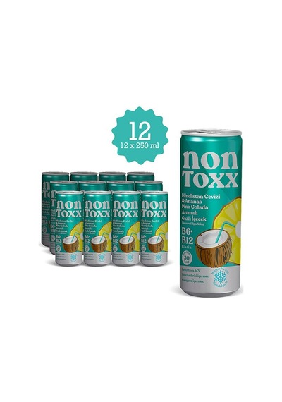 Nontoxx Hindistan Cevizi & Ananas Aromalı, Sirkeli, Gazlı İçecek 250 Ml